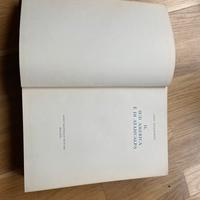 Libro “Il Sud America è di Atahualpa”