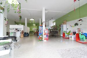 MULTILOCALE A MONTEROTONDO