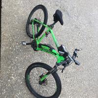 Mountain Bike elettrica MTB con pedalata assistita