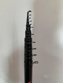 Canna bolognese Milo 10 metri