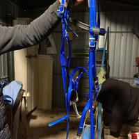 Finimenti per cavallo