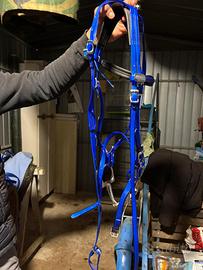 Finimenti per cavallo