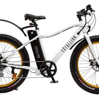 Bici Elettrica E-Fatbike