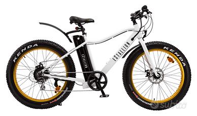 Bici Elettrica E-Fatbike