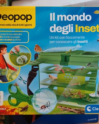 il mondo degli insetti 