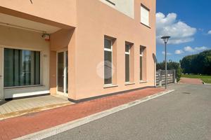 NEGOZIO A BORGOSATOLLO