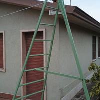 scala pieghevole per albero 