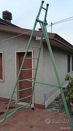 scala pieghevole per albero 