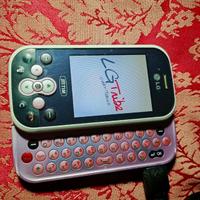 Cellulare LG Tribe Rosa Chat Mobile KS360 Rosa