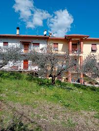 Appartamento in zona Cigliano 