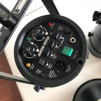 Flash bowens mono gold