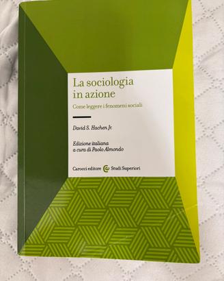 La sociologia in azione