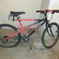 Bici bianchi ragno 