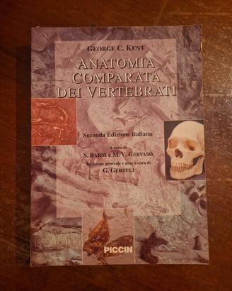 anatomia comparata dei vertebrati