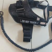 Pettorina e Guinzaglio x Cani