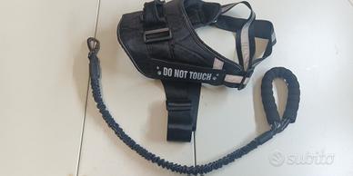 Pettorina e Guinzaglio x Cani