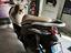 Immagine 11