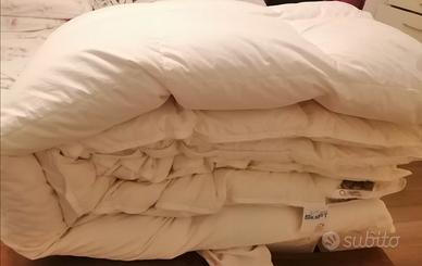 Piumone freddo inverno  (1,2kg piumino oca)