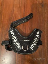 Pettorina Julius - K9