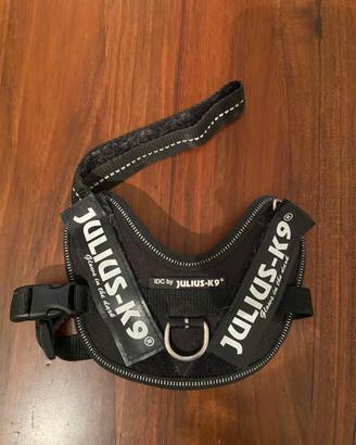 Pettorina Julius - K9