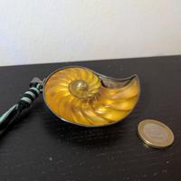 Ciondolo conchiglia Nautilus in argento 925