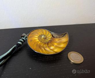 Ciondolo conchiglia Nautilus in argento 925