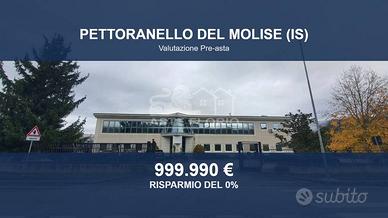Immobile in asta di 2160 m² a Pettoranello del Mol