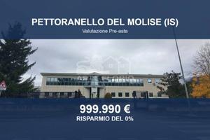 Immobile in asta di 2160 m² a Pettoranello del Mol