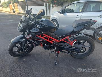 Benelli BN 125 anno 2024