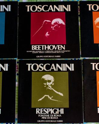 Collezione Vinili 33 giri