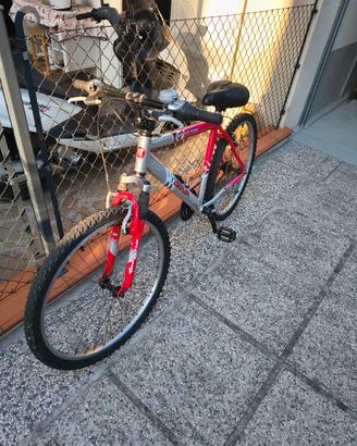 mtb uomo 
