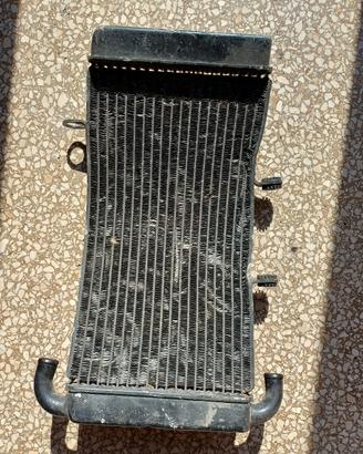 Radiatore  Mito Fari Tondi