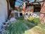 Immagine 7