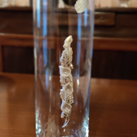 Vaso da fiori con applicazione in argento