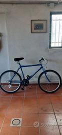MOUNTAIN BIKE Uomo
