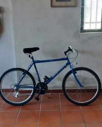 MOUNTAIN BIKE Uomo