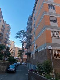 Colli Aminei  50