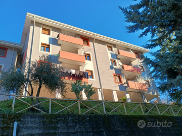 Vendita appartamento