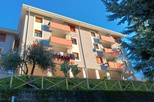 Vendita appartamento