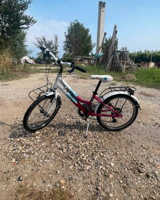 Bicicletta