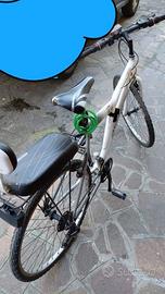 Bicicletta da uomo