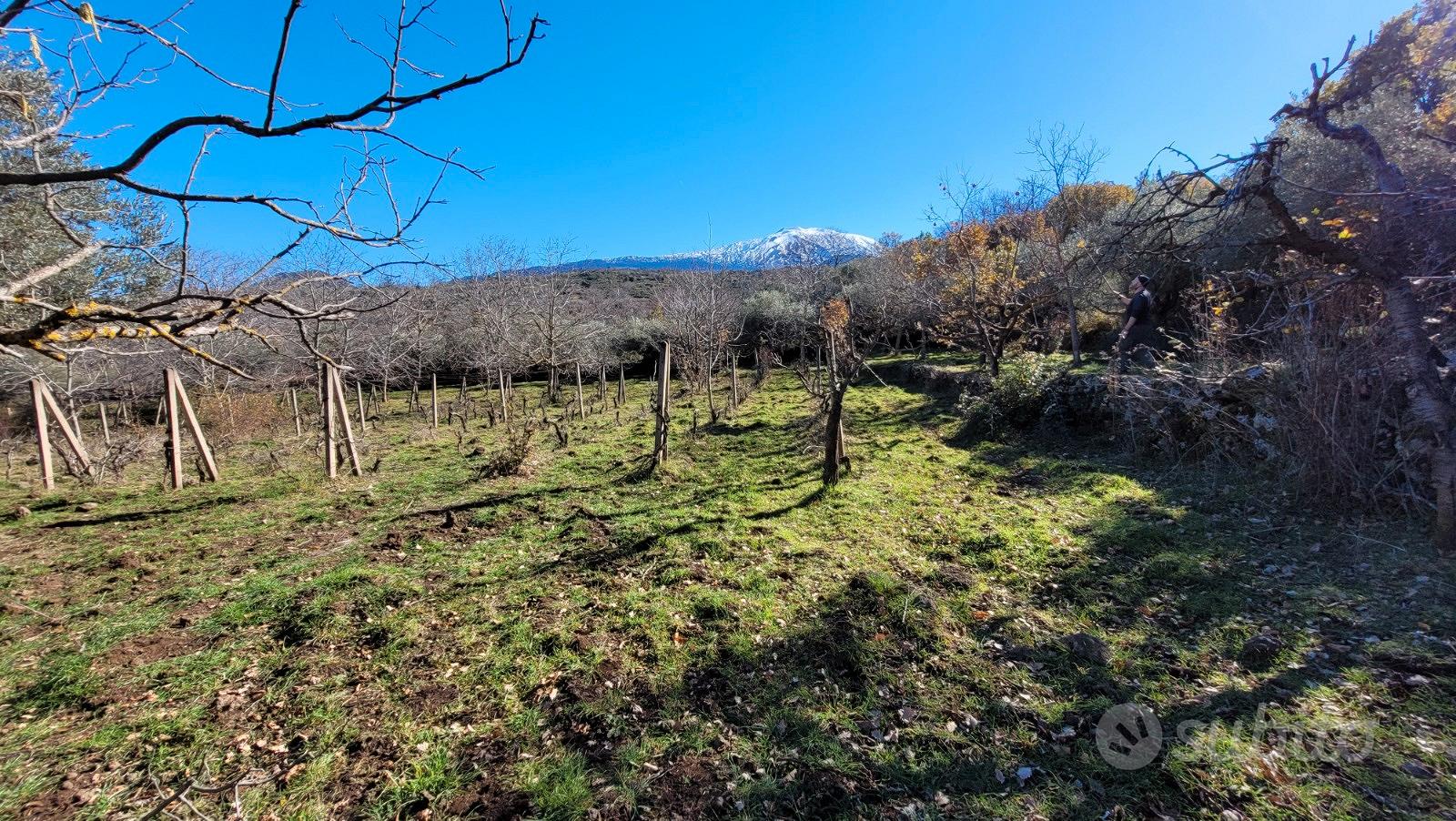 Bronte zona Maletto terreno 5400mq - Vista 2