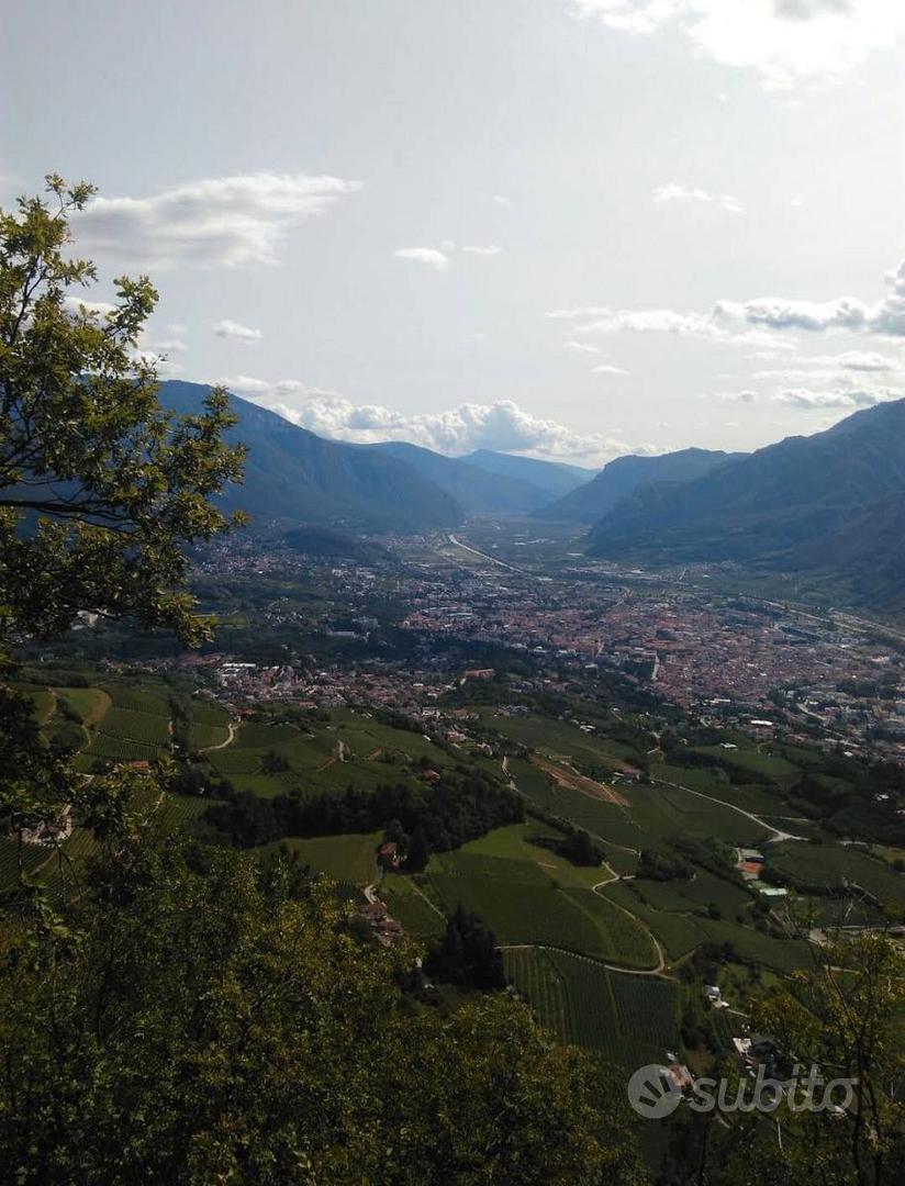 Terreno edificabile e rustico in collina di Trento - Vista 3