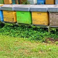 Cavalletto per arnie