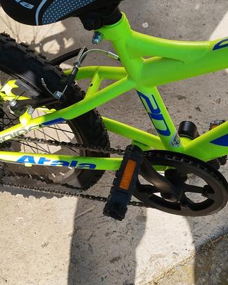 Mountain bike Atala ragazzo