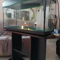 acquario nuovo