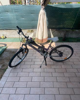 bicicletta  da ragazza
