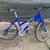 Bici Mountain bike Pretty shadow