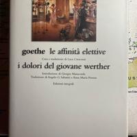 Libro I grandi dell’800