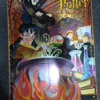 poster dì Harry Potter e quidditch.